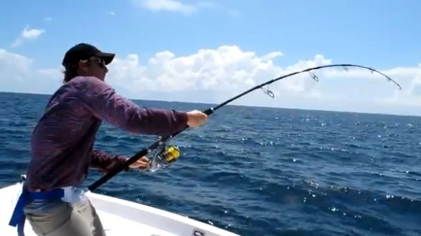 Pic: Mick Fletoridis